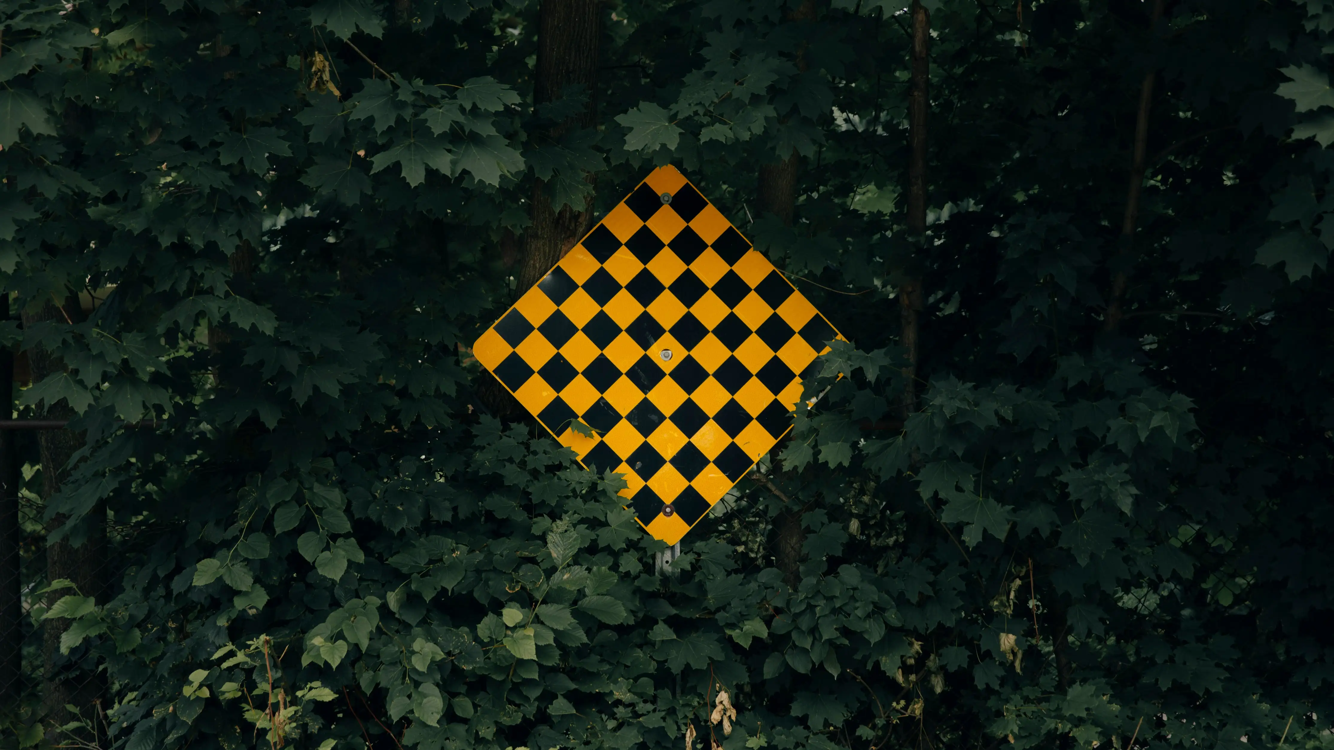 Vanity metrics are definitely a dead end for your product